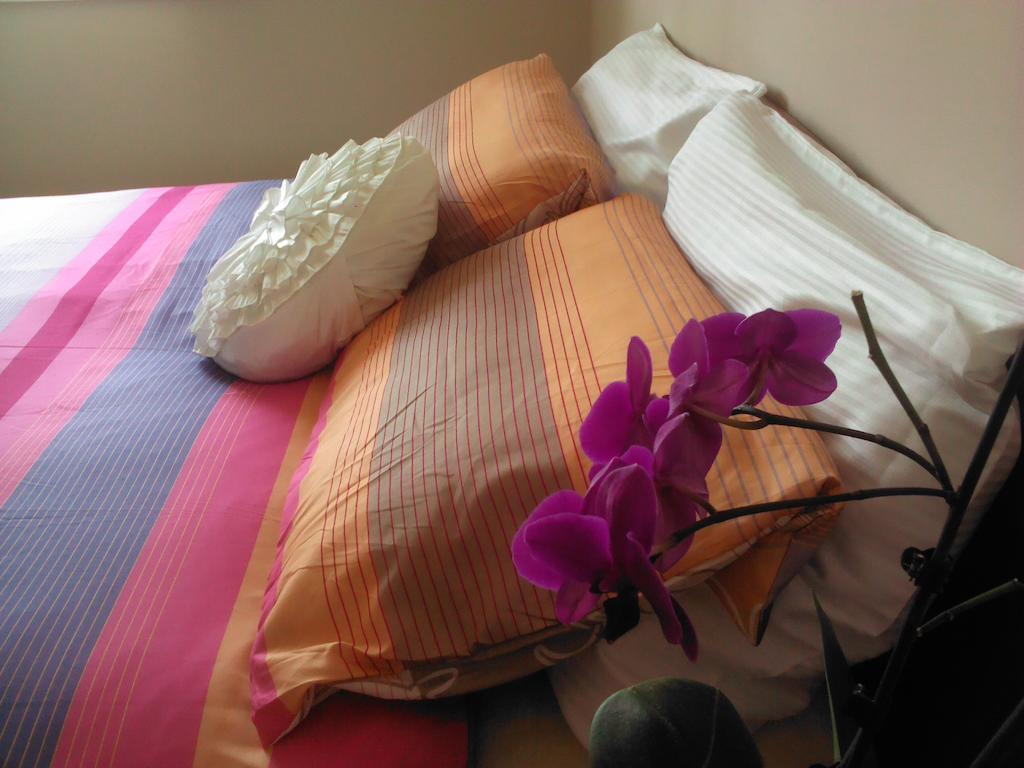 Guesthouse Emma Zadar Buitenkant foto